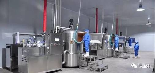 素果中山食品科技有限公司生产项目落户盐津